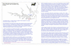 kin68 cunningham_thumb.gif